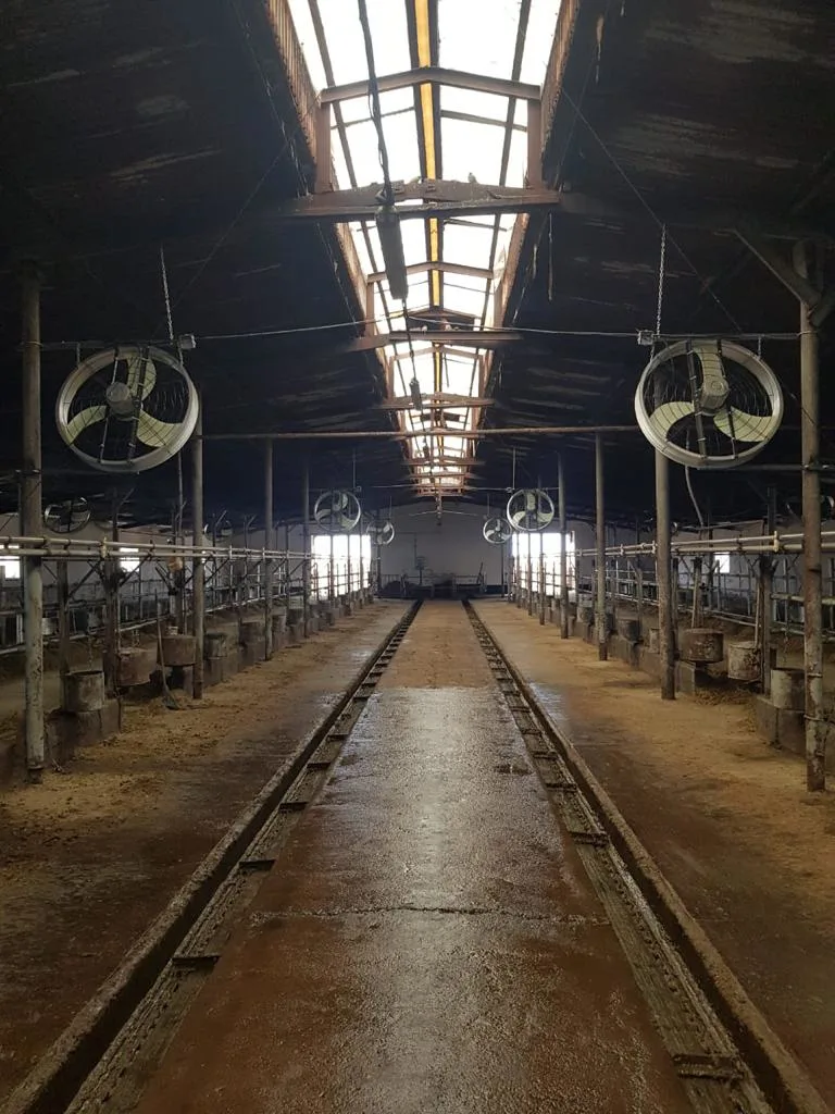 Direct Drive Hot DIP Galvanized Pag Blade Dairy Cattle Farm Hanging Ventilation Animal Husbandry Air Circulating Ceiling Fan